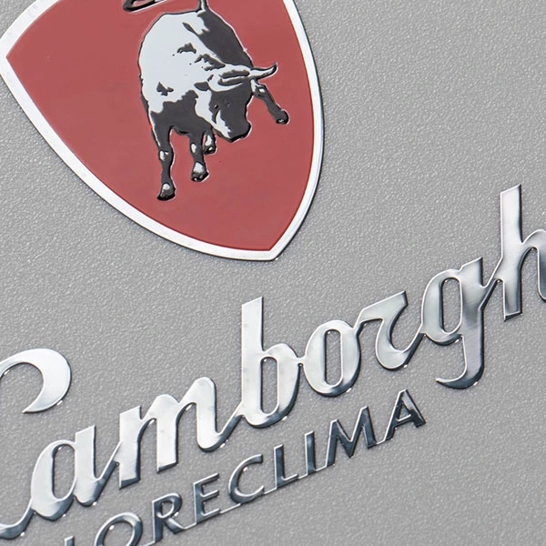 Nikkel skinnende varmebestandigt logo